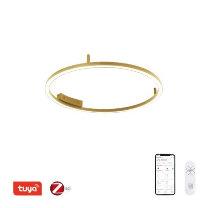 Immax NEO 07291-80G - LED+CCT regulējama griestu lampa FINO, LED/55W/230V, 2700–6500K, Tuya, Ø 80 cm + tālvadības pults