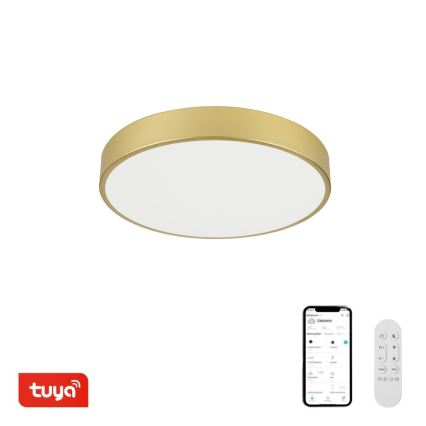 Immax NEO 07292L - LED+CCT Aptumšojams griestu gaismeklis SEMPLICI LED/36W/230V 2700-6500K Ø 40 cm + tālvadība
