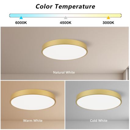 Immax NEO 07293L - LED+CCT Dimējams griestu gaismeklis SEMPLICI LED/60W/230V 2700-6500K Ø 60 cm + tālvadības pults
