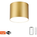 Immax NEO 07317L - LED regulējams griestu gaismeklis RONDATE LED/18W/230V Ø 11,5 cm Wi‑Fi Tuya zelta