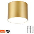 Immax NEO 07318L - LED dimējams griestu lukturis RONDATE LED/32W/230V Ø 16,5 cm Wi‑Fi Tuya zelta krāsā