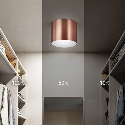Immax NEO 07319L - LED dimējams griestu gaismeklis RONDATE LED/18W/230V Ø 11,5 cm Wi-Fi Tuya rožu zelts