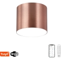 Immax NEO 07319L - LED dimmējama griestu lampa RONDATE LED/18W/230V Ø 11,5 cm Wi-Fi Tuya rožu zelta