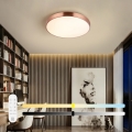 Immax NEO 07321L - LED ar regulējamu spilgtumu griestu gaismeklis NEO LITE SEMPLICI LED/36W/230V Ø 40 cm vara krāsas + tālvadības pults