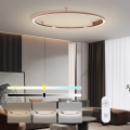 Immax NEO 07325-120C - LED griestu gaismeklis FINO ar regulējamu spilgtumu LED/72W/230V 120 cm Tuya rožu zelta krāsā + tālvadības pults