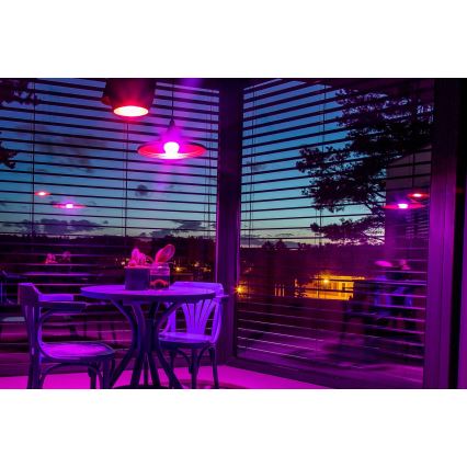 Immax NEO 07745CDO - Komplekts 3x regulējamas LED spuldzes RGB+CCT E14/6W/230V, Wi‑Fi un tālvadības pults