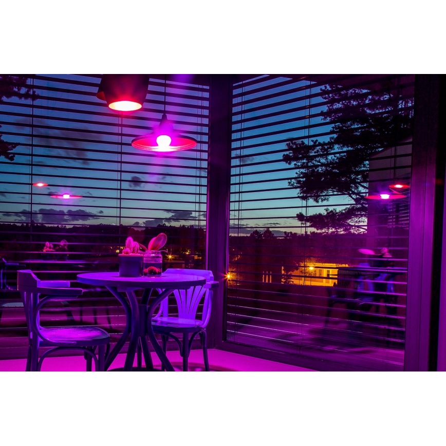 Immax NEO 07745CDO - Komplekts 3x regulējamas LED spuldzes RGB+CCT E14/6W/230V, Wi‑Fi un tālvadības pults