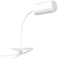 Immax NEO 08294L - Lokana lampa ar skavu PUNTO 1xGU10/9W/230V balta