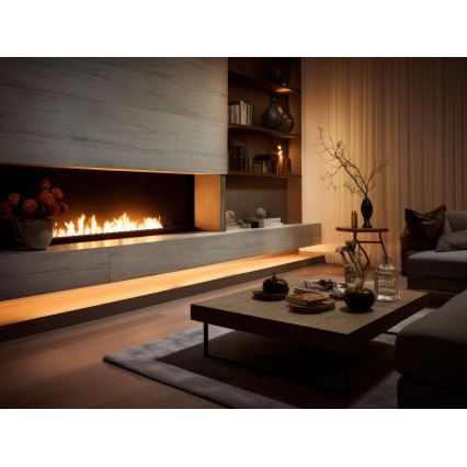 InFire - Iebūvējams BIO kamīns 7,5x120 cm 7kW melna