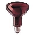 Infrasarkanā spuldze HELIOS R95 E27/100W/230V