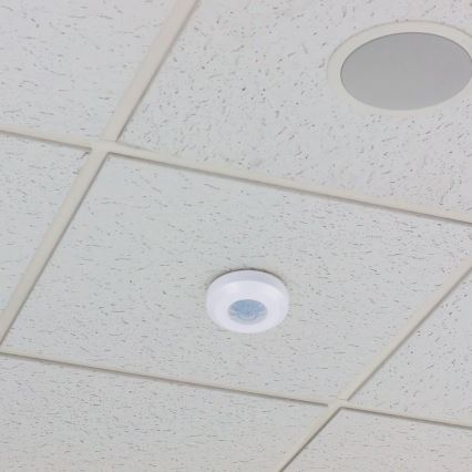 Infrasarkanais kustību sensors 360° 200W/230V balta