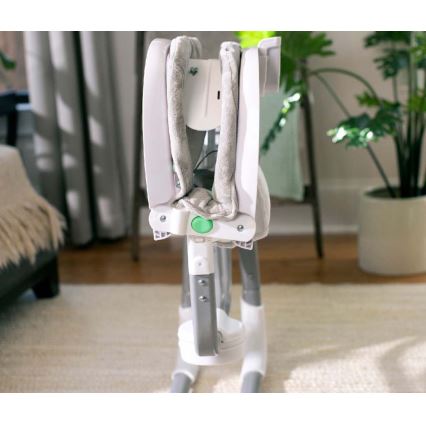 Ingenuity - Bērnu kūstīgas šūpoles ar mūziku ANYWAY SWAY RAY 4xLR14