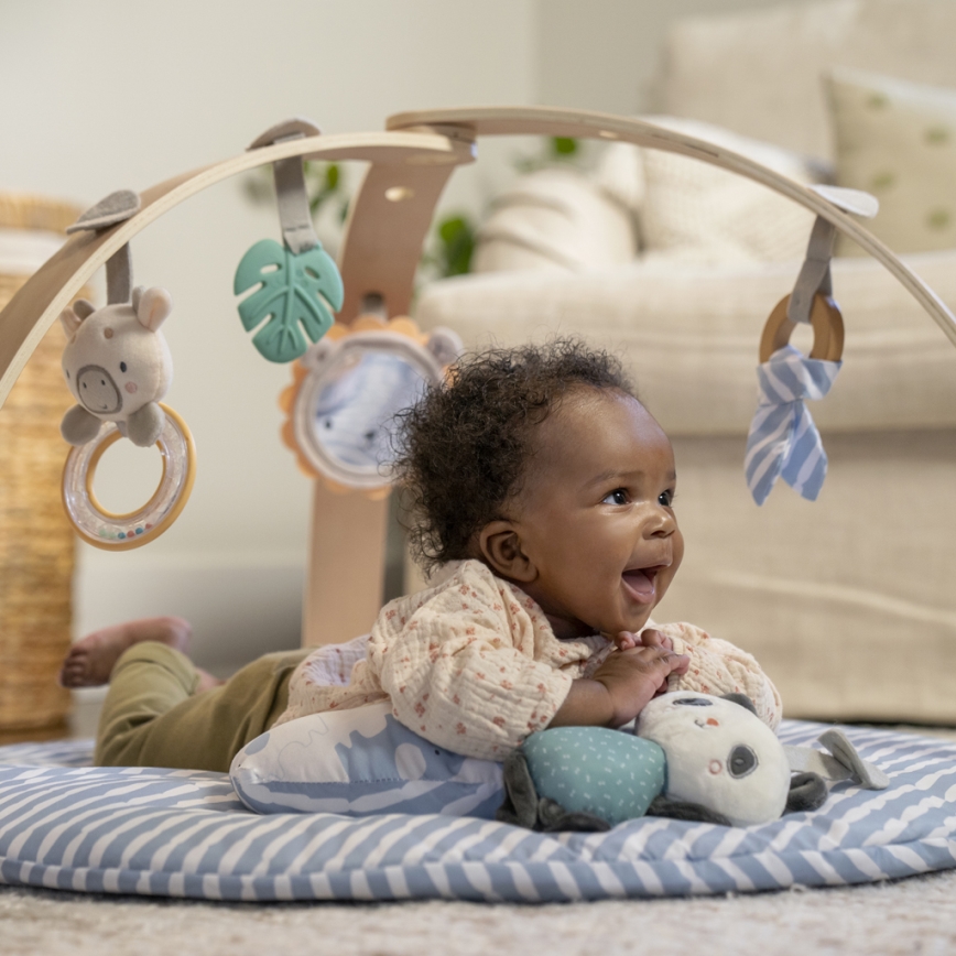 Ingenuity - Bērnu rotaļu paklājs ELEPHANT MARCH