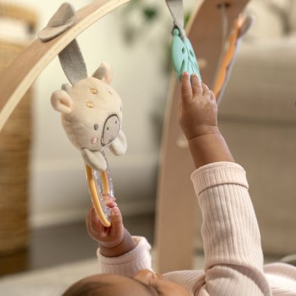 Ingenuity - Bērnu rotaļu paklājs ELEPHANT MARCH