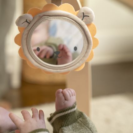 Ingenuity - Bērnu rotaļu paklājs ELEPHANT MARCH