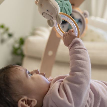 Ingenuity - Bērnu rotaļu paklājs ELEPHANT MARCH