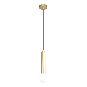 ITALUX - Karājoša lustra uz kabeļa FILANO 1xG9/5W/230V zeltaina