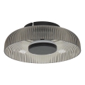 ITALUX - LED griestu gaismeklis PASSO LED/8W/230V 3000K Ø 25 cm dūmakaini melns