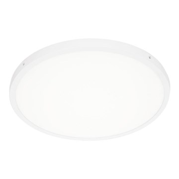 ITALUX - LED Griestu lampa PELARO LED/36W/230V 3000K balta