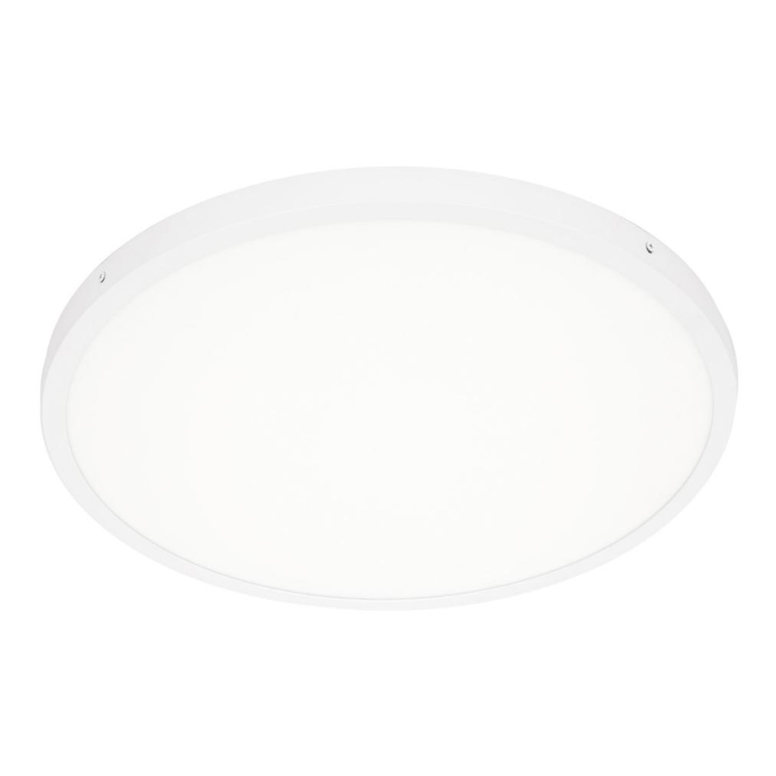 ITALUX - LED Griestu lampa PELARO LED/36W/230V 3000K balta