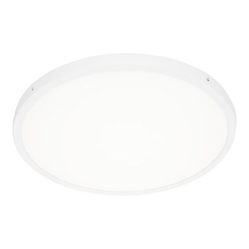 ITALUX - LED Griestu lampa PELARO LED/36W/230V 4000K balta