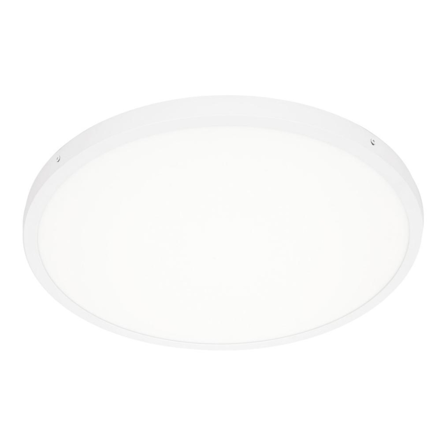 ITALUX - LED Griestu lampa PELARO LED/36W/230V 4000K balta