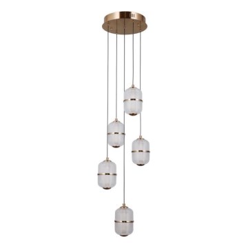 ITALUX - LED lustra ar kabeli ALANI 5xLED/5,6W/230V 3000K zelta