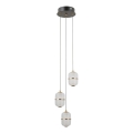 ITALUX - LED lustra uz troses ALANI 3xLED/5W/230V 3000K melna/zelta