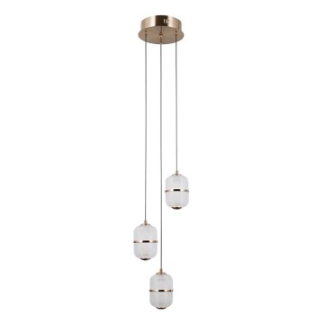 ITALUX - LED lustra uz troses ALANI 3xLED/5W/230V 3000K zelta