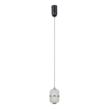 ITALUX - LED lustra uz troses ALANI LED/6W/230V 3000K melna/zelta