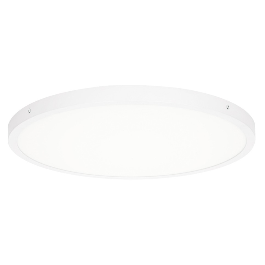 ITALUX - LED Griestu lampa PELARO LED/36W/230V 3000K balta