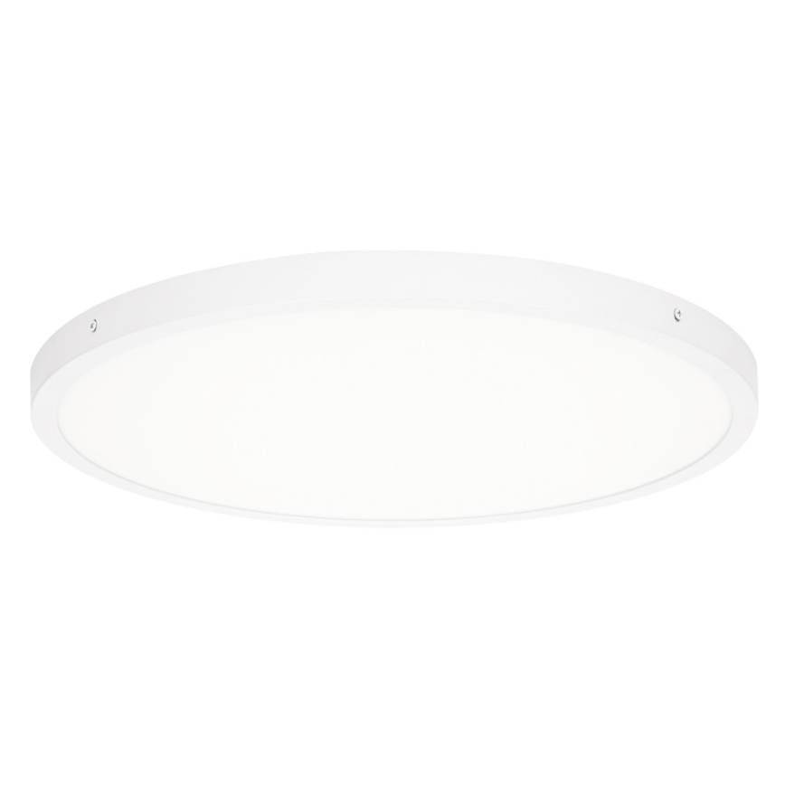 ITALUX - LED Griestu lampa PELARO LED/36W/230V 4000K balta