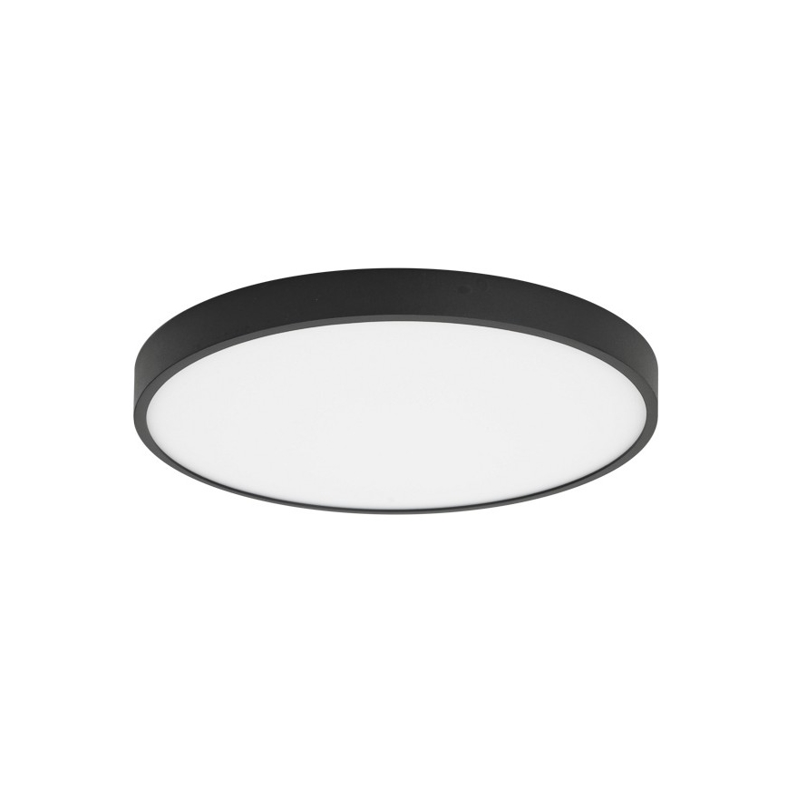 ITALUX - LED Griestu lampa RIBERIO LED/30W/230V 4000K melna