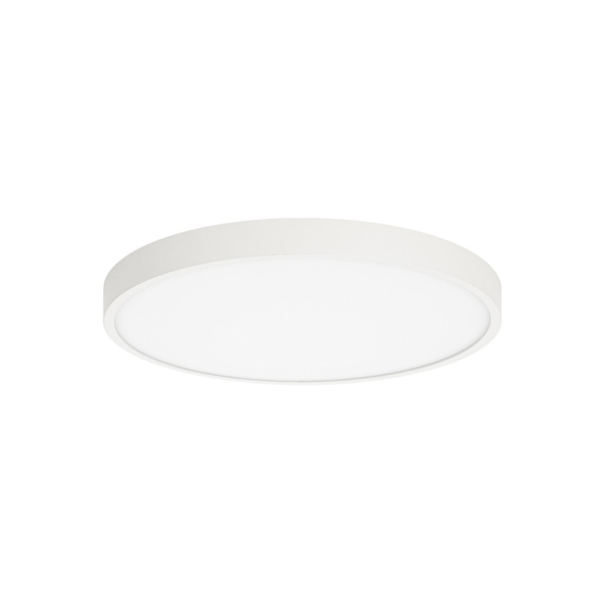 ITALUX - LED Griestu lampa RIBERIO LED/30W/230V 3000K balta