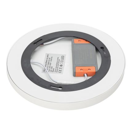 ITALUX - LED Griestu lampa RIBERIO LED/30W/230V 3000K balta