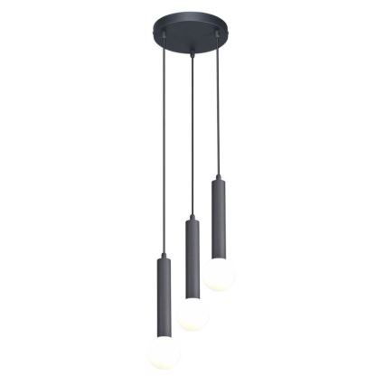 ITALUX - Lustra uz kabeļa FILANO 3xG9/5W/230V melna