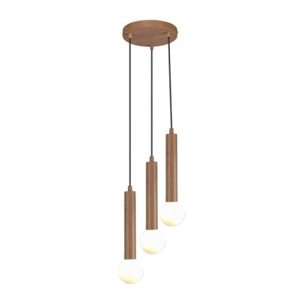 ITALUX - Piekaramā lampa uz stieples FILANO 3xG9/5W/230V brūna