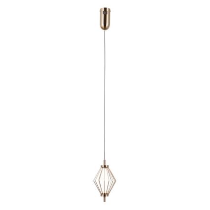 ITALUX - LED lustra uz kabeļa SEVILLA LED/5W/230V 3000K zeltaina