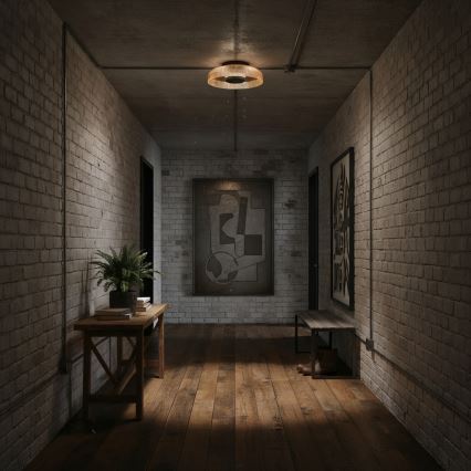 ITALUX - LED griestu lampa PASSO LED/8W/230V 3000K Ø 25 cm dūmaina bēša