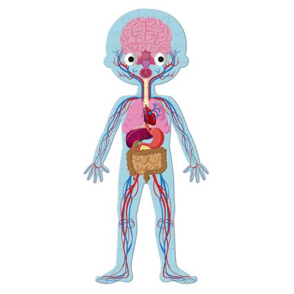 Janod - Bērnu izglītojoša puzle 225 gab., cilvēka ķermenis