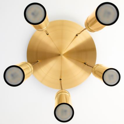 Jupiter 2020 - Lustra ar auklu ALAS 5xGU10/10W/230V zelta