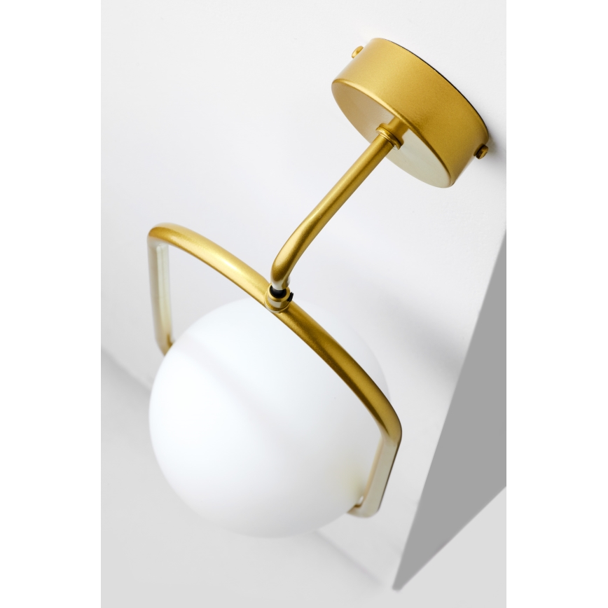 Jupiter 2043 - Sienas lampa IGON 1xE14/40W/230V zelta