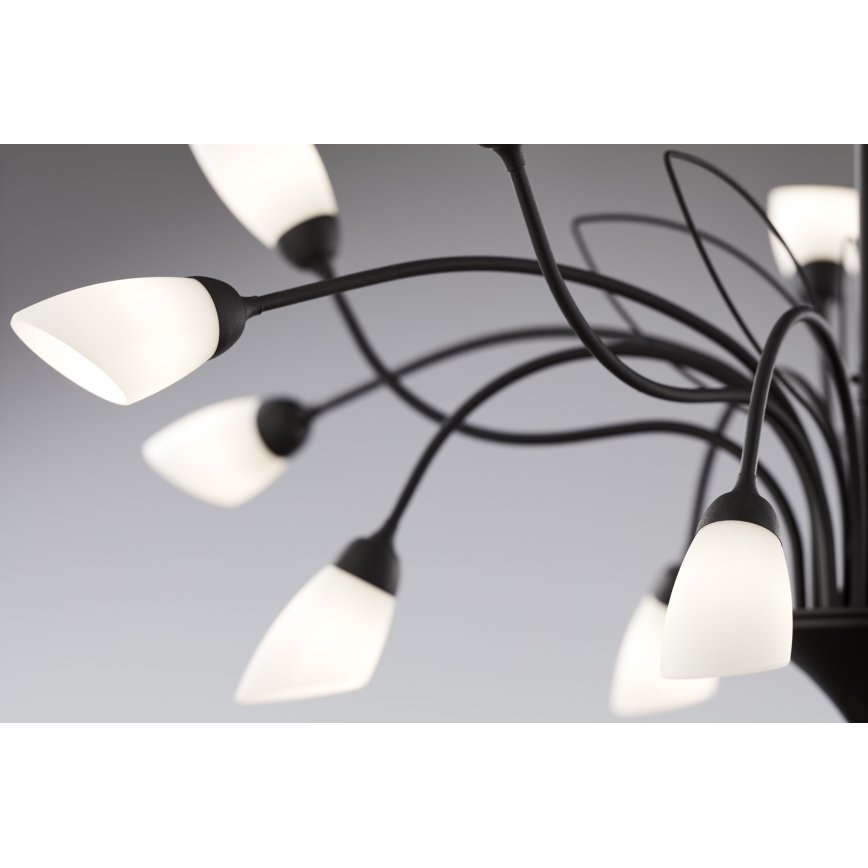 Jupiter 2057 - Lustra ar ķēdi GLORIOSA 15xG9/14W/230V melna