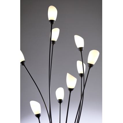 Jupiter 2058 - Stāvlampa GLORIOSA 9xG9/14W/230V melna