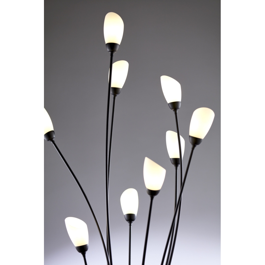 Jupiter 2058 - Stāvlampa GLORIOSA 9xG9/14W/230V melna