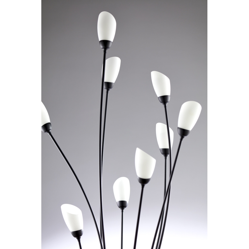 Jupiter 2058 - Stāvlampa GLORIOSA 9xG9/14W/230V melna