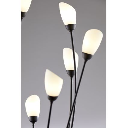 Jupiter 2058 - Stāvlampa GLORIOSA 9xG9/14W/230V melna