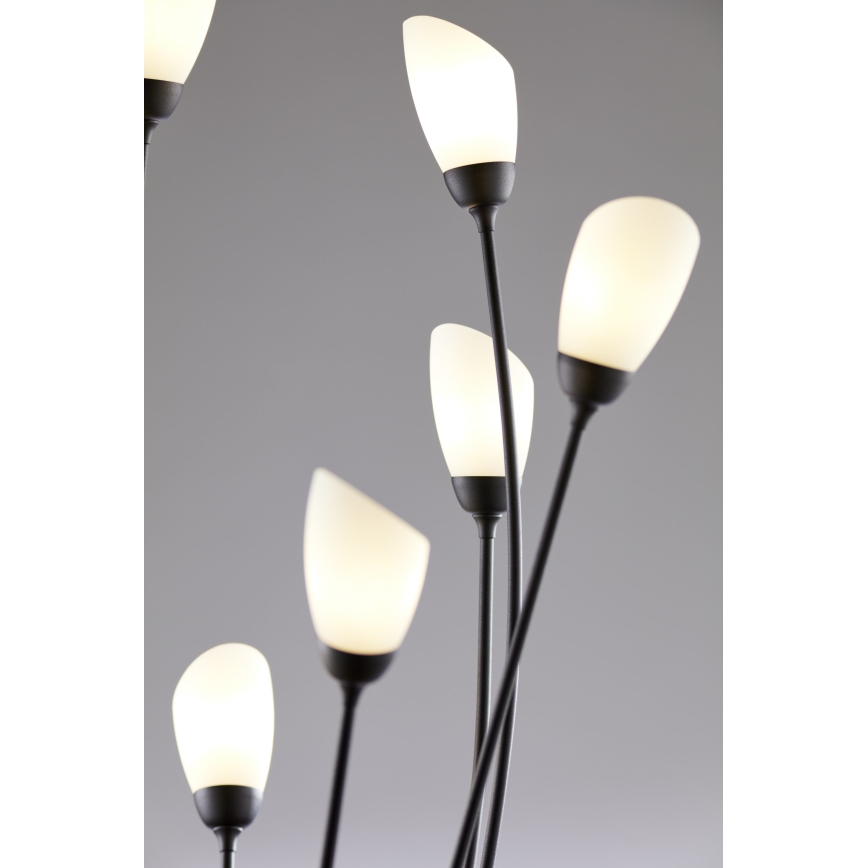 Jupiter 2058 - Stāvlampa GLORIOSA 9xG9/14W/230V melna