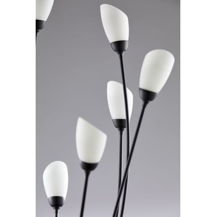 Jupiter 2058 - Stāvlampa GLORIOSA 9xG9/14W/230V melna