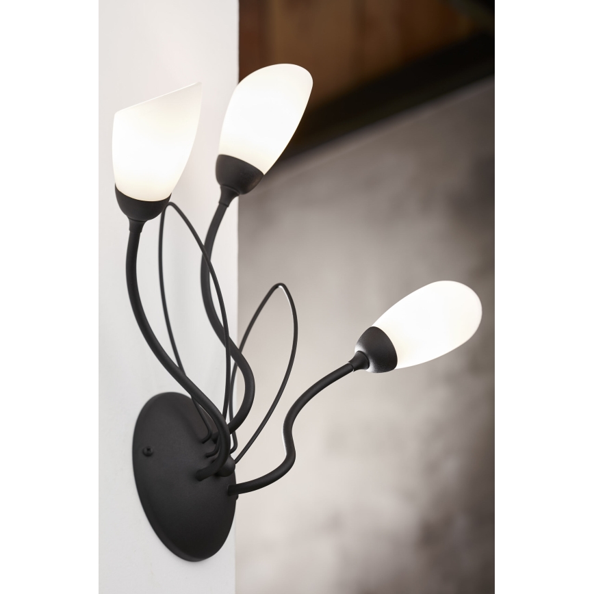 Jupiter 2059 - Sienas gaismeklis GLORIOSA 3xG9/14W/230V melns